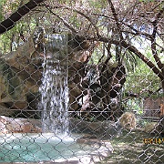 Picture 092